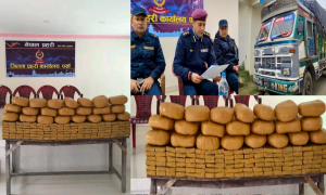 पर्सामा लागू औषधको सञ्जाल भत्काउँदै प्रहरी : फेरि ट्रकबाट ठूलो मात्रामा चरेस बरामद